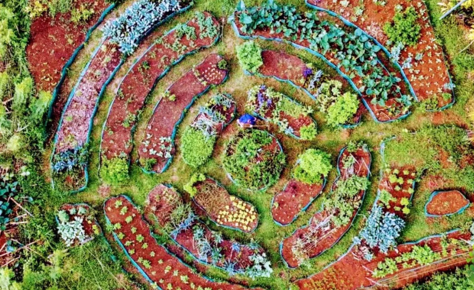 Campaña de Enlázate por la Justicia