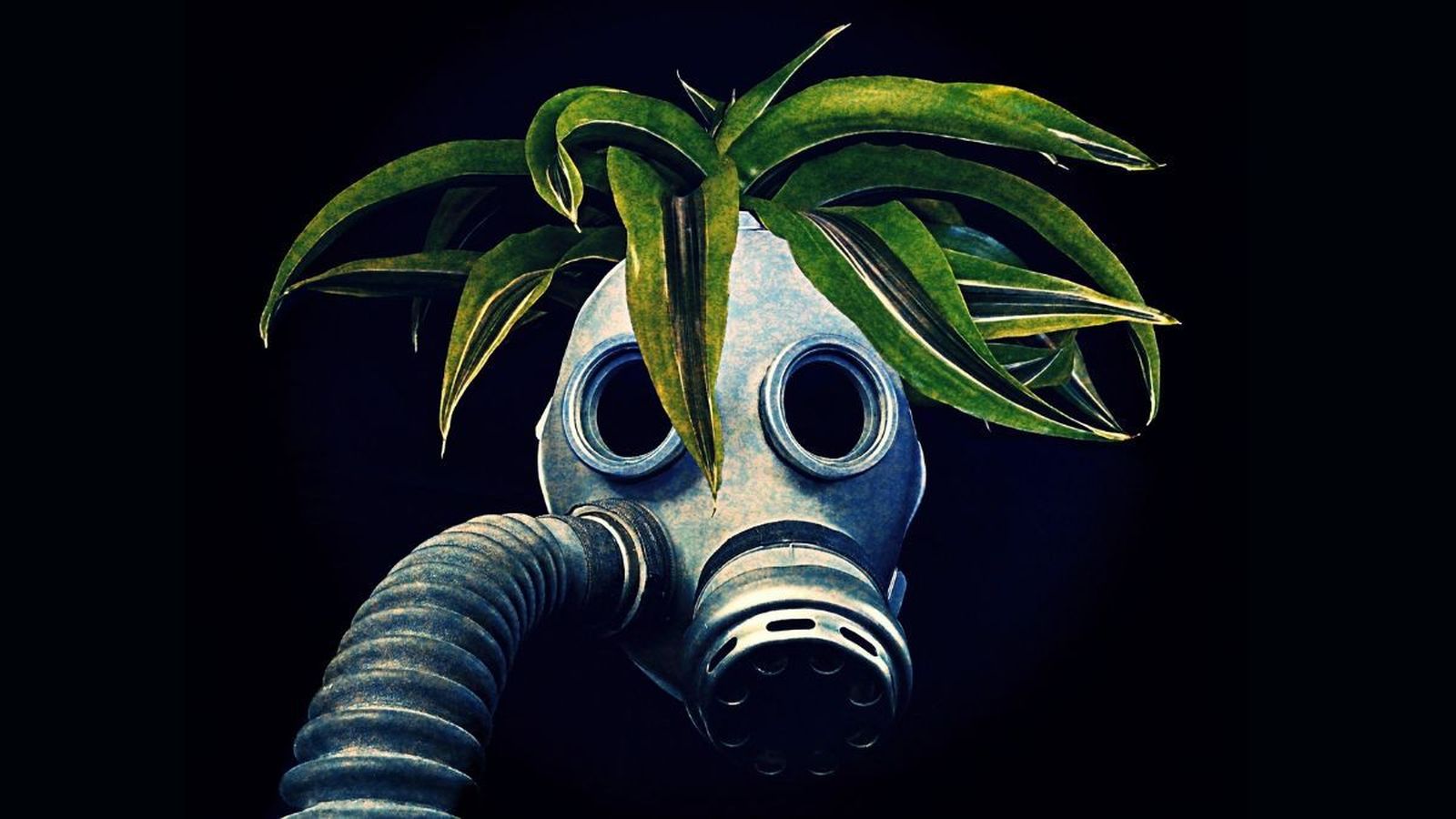 ¿Qué ciencia es buena para la transformación mundial?