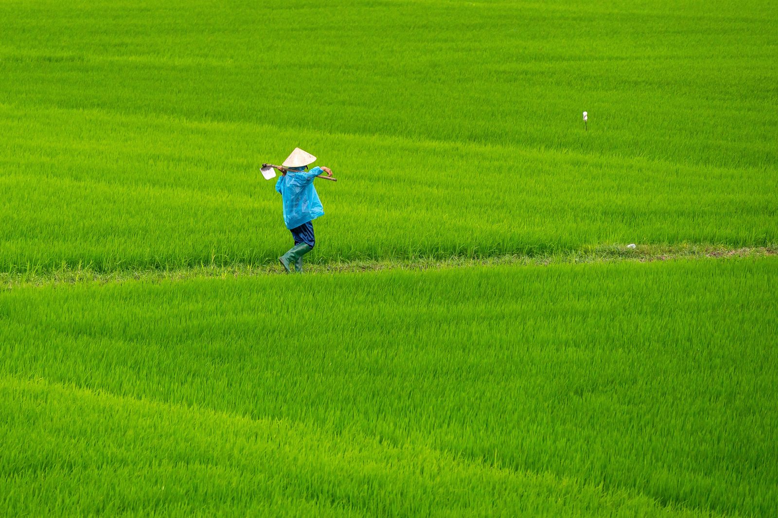 Un agricultor en Asia