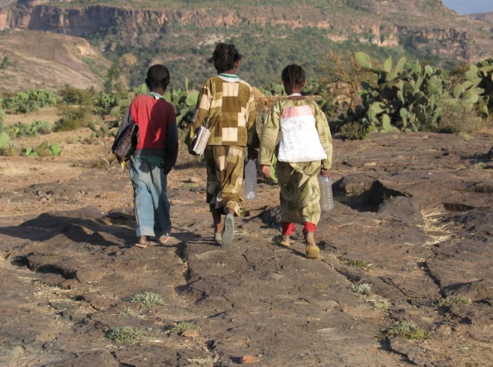 Tigray