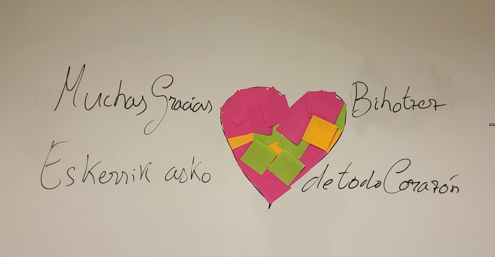 Carta abierta de agradecimiento al servicio de rehabilitación cardiovascular de Txagorritxu