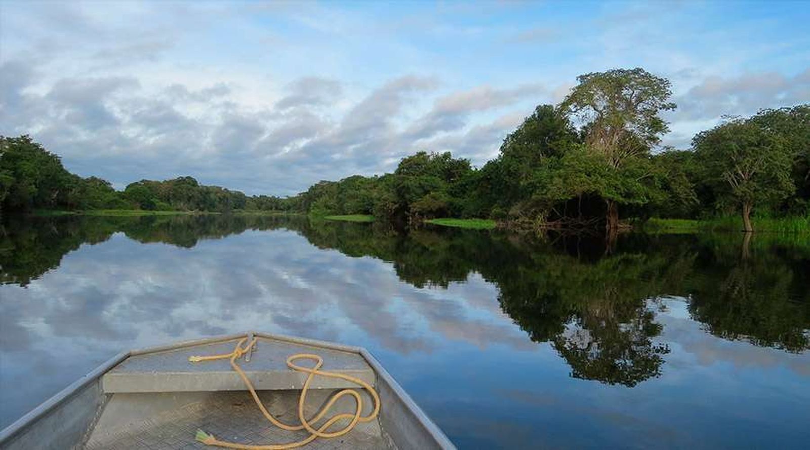Claves teológicas para el Sínodo de la Amazonía