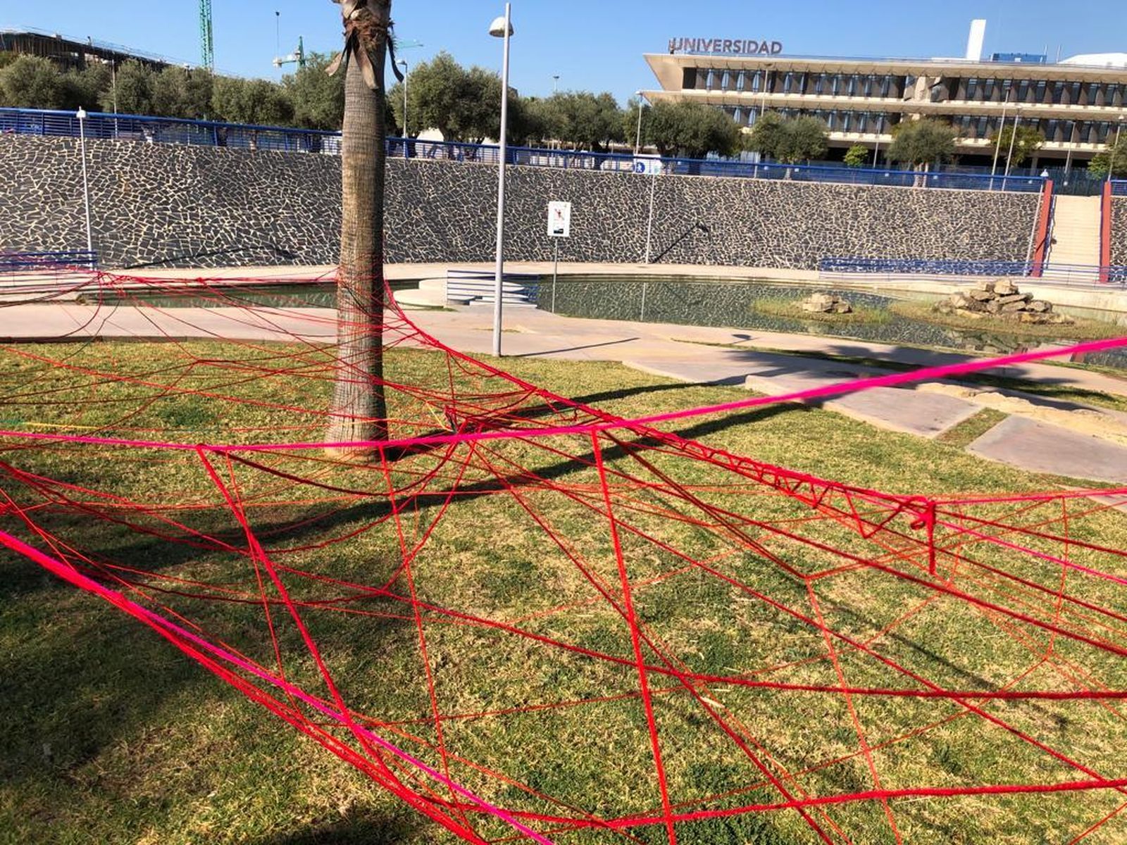 Proyecto lleva como título El Disco de Oro