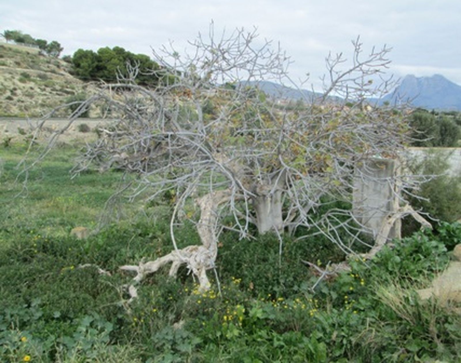 En cuaresma: no dejemos pasar la ocasión de una verdadera conversión