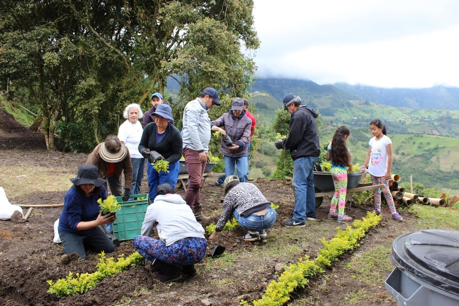Cuidado de la creación