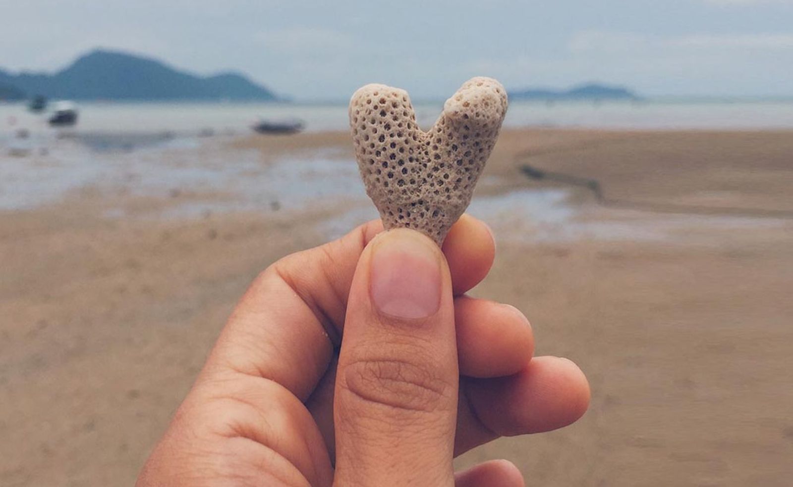 Vocación y seguimiento