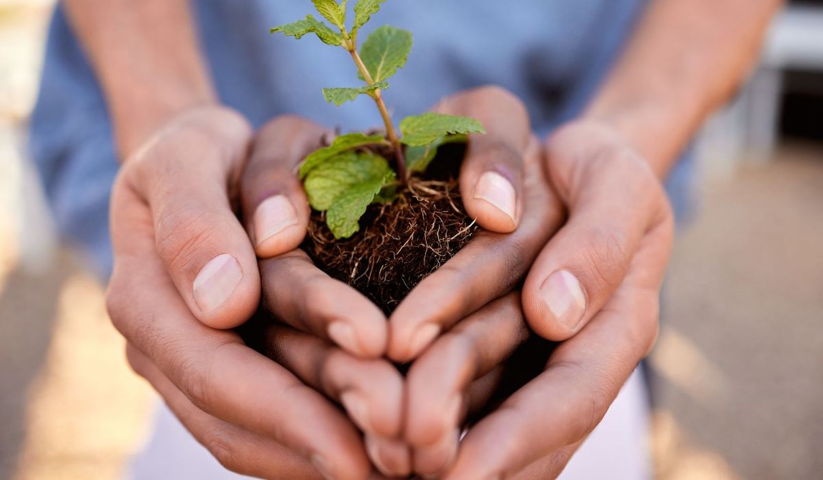 Líderes ambientales