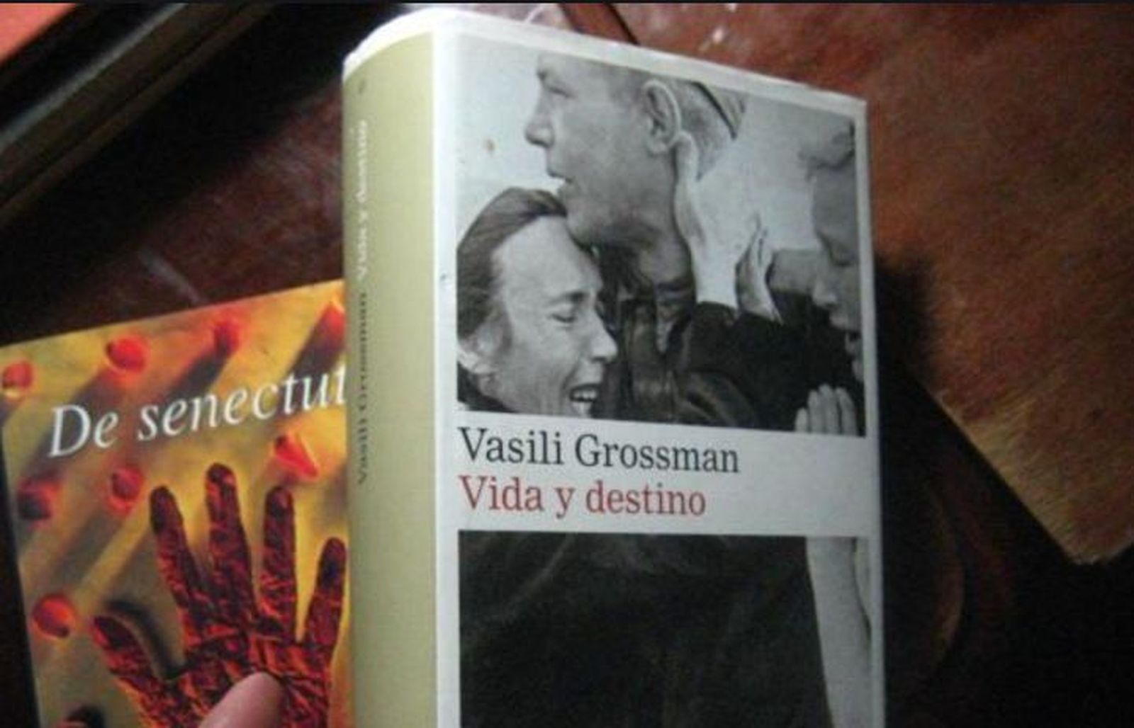 Vasili Grossman, "Vida y destino"