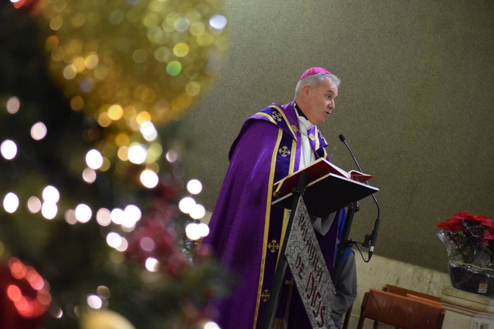 Iceta, en su mensaje de Navidad
