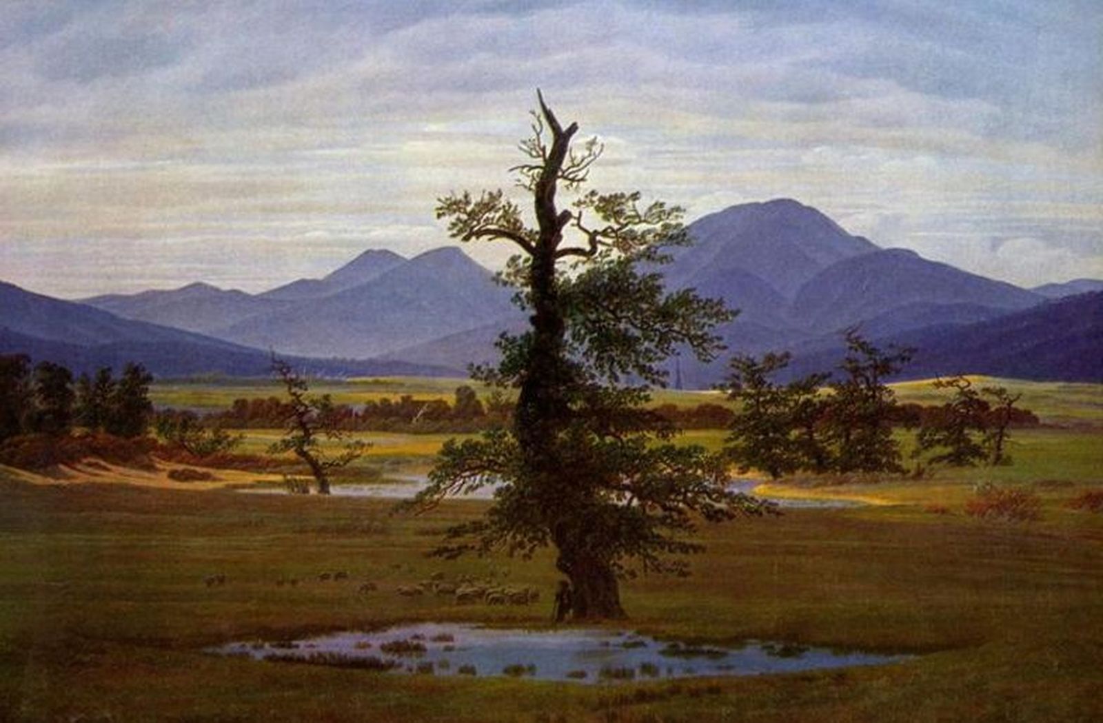 Detalle de "Árbol solitario", de Friedrich