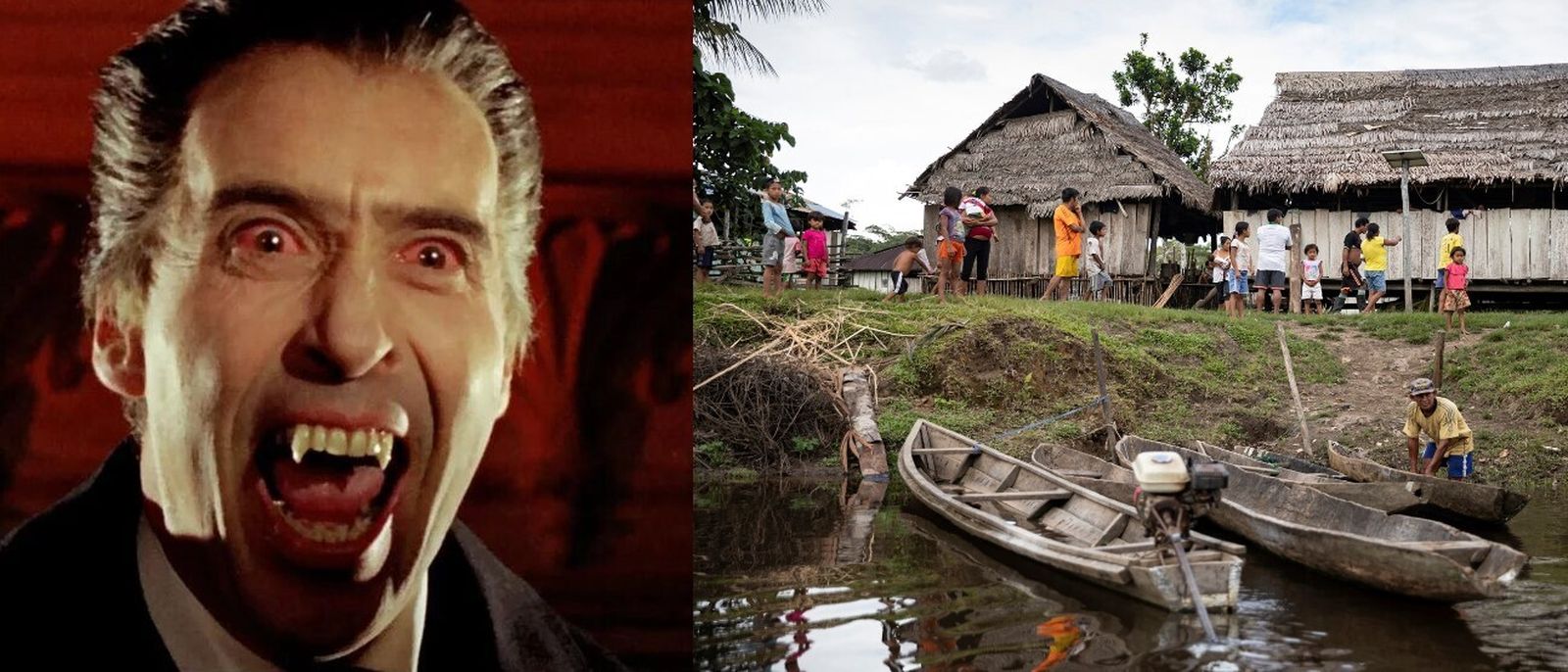 Vampirizar la misión