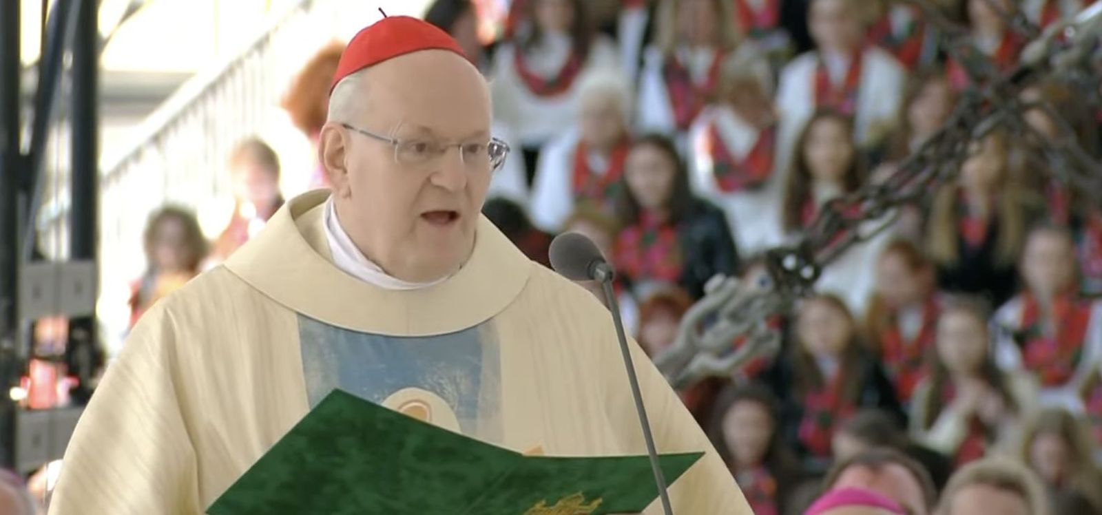 Erdö, hablando al Papa