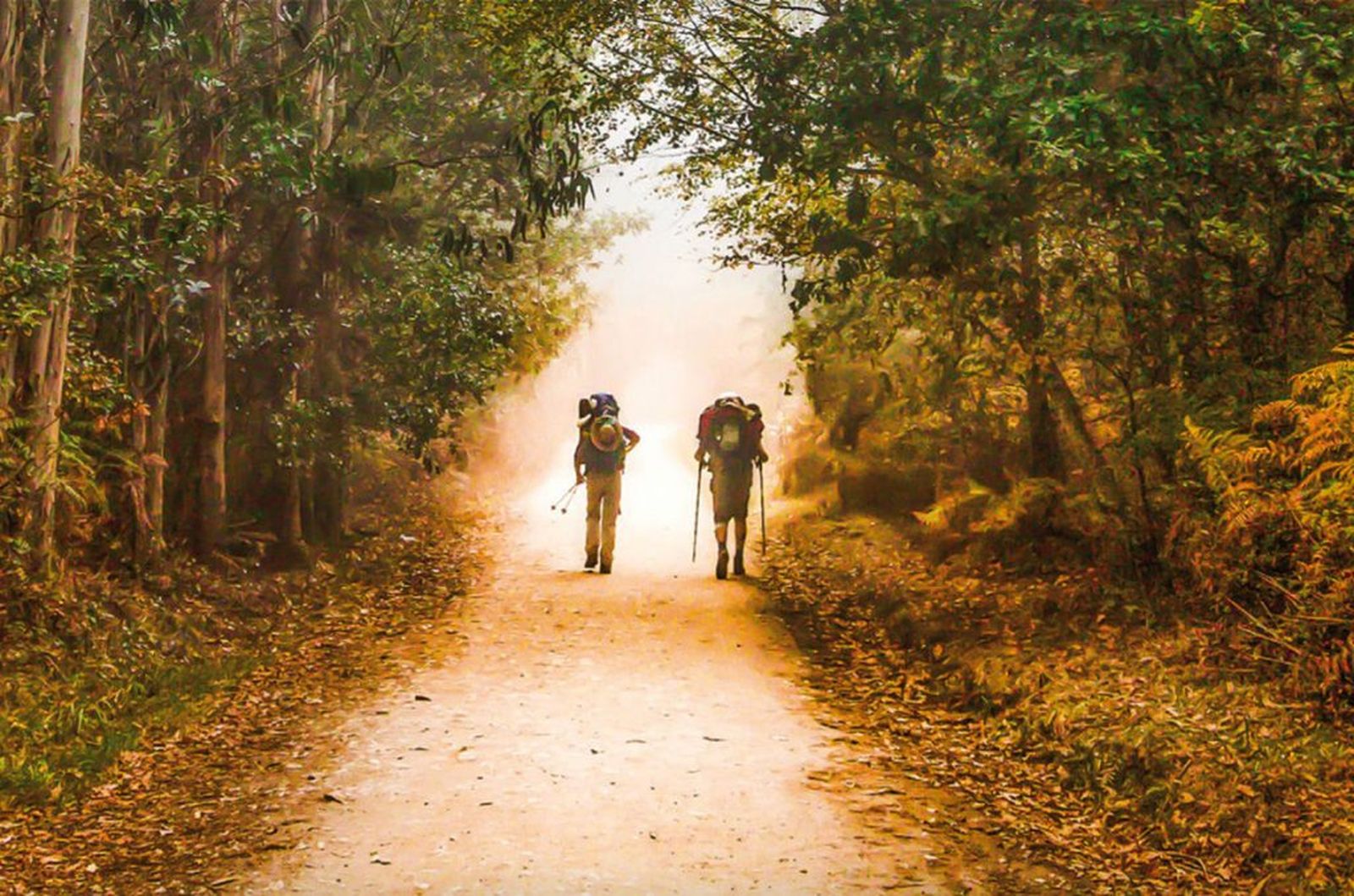 intro-al-counselling-1024x678