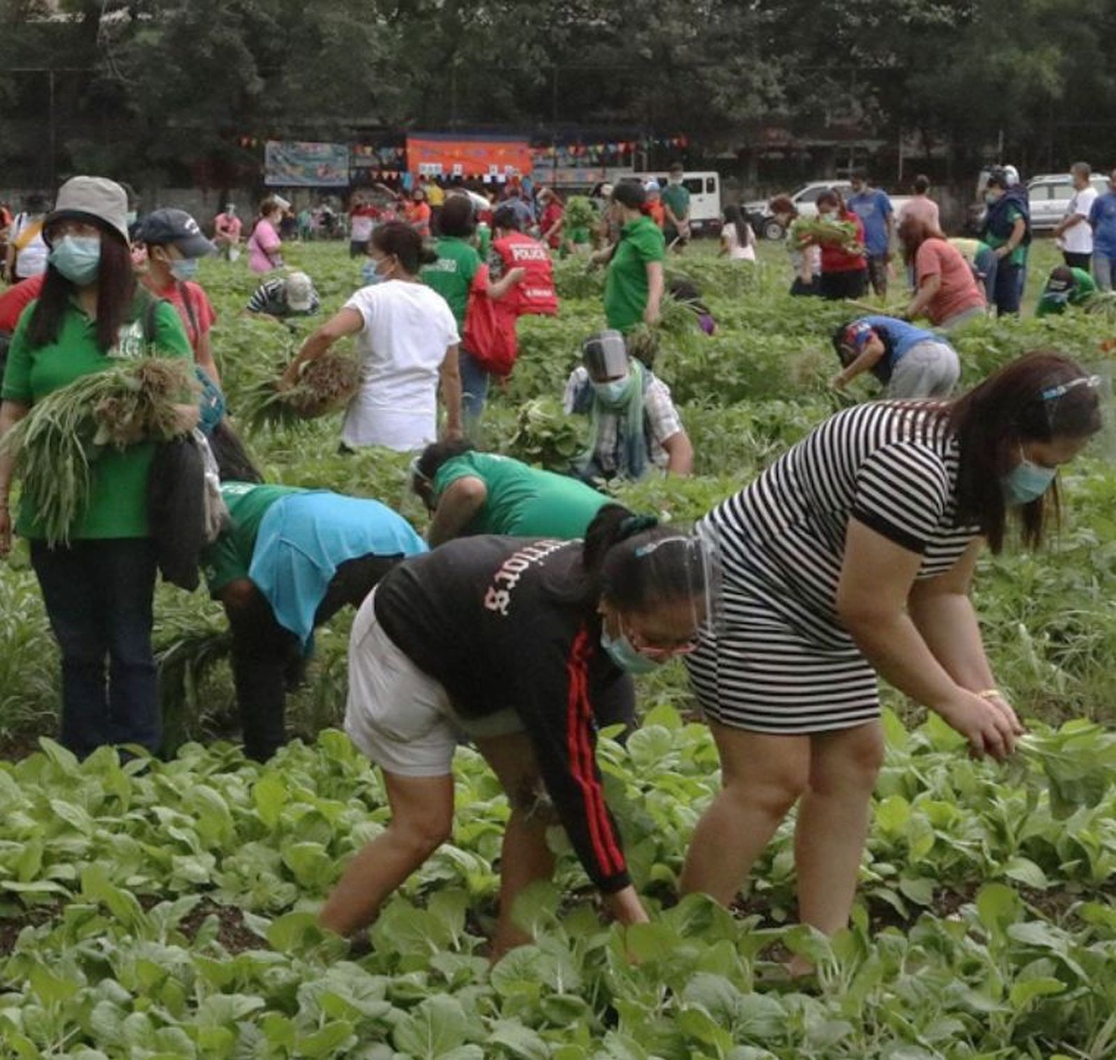 Misiones Salesianas. Filipinas