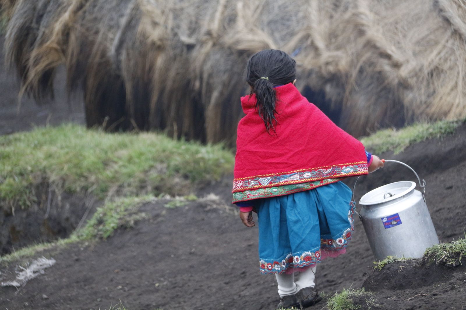 Ecuador. Niña indígena quechua