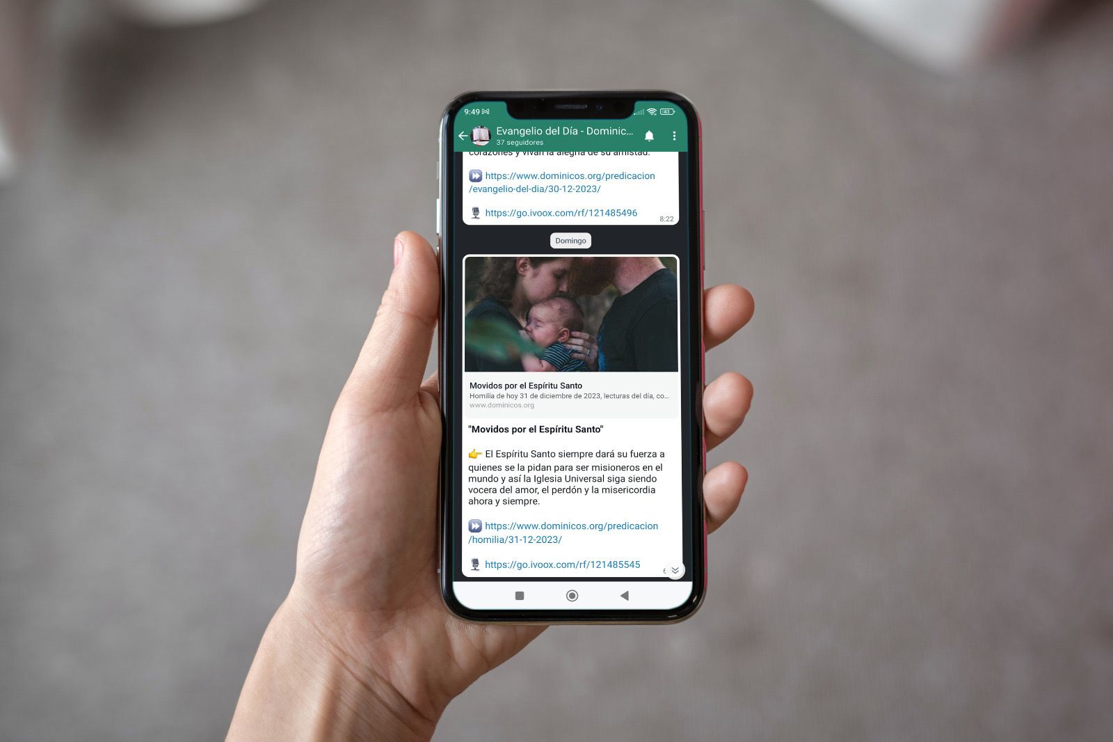 La Predicación diaria del Evangelio de Dominicos por fin en tu WhatsApp