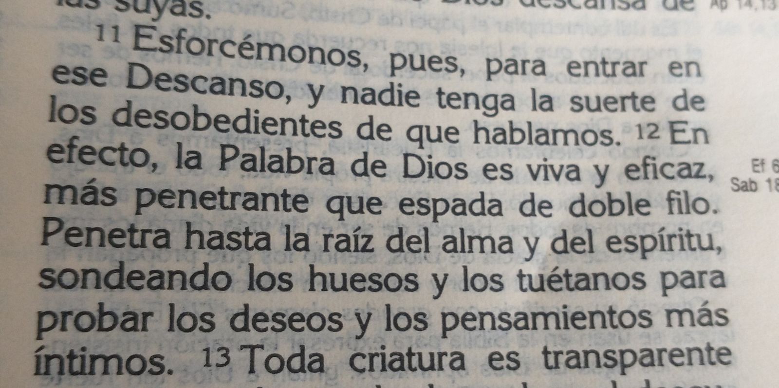 ¿Creemos que la Biblia es “Palabra de Dios”?