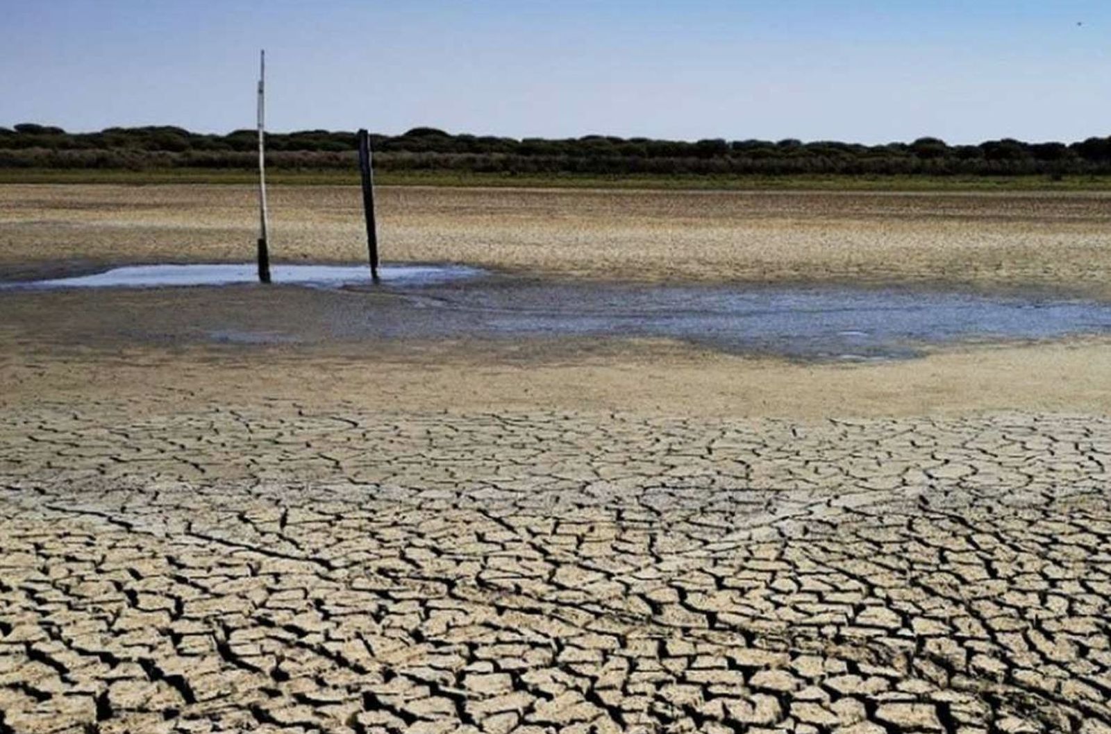 Laguna de Santa Olalla, en Doñana
