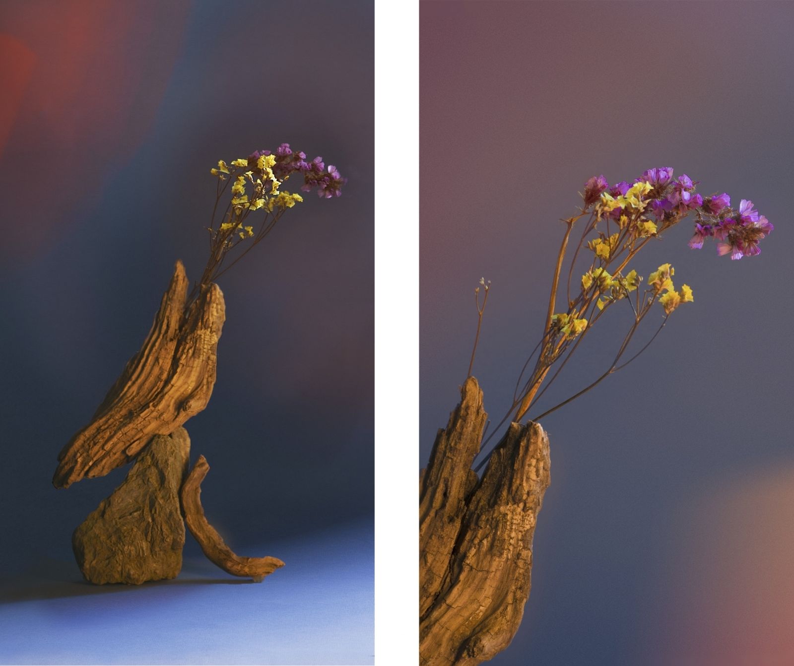 Dame la mano y moveremos el mundo