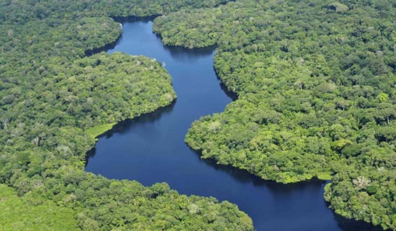 Amazonia