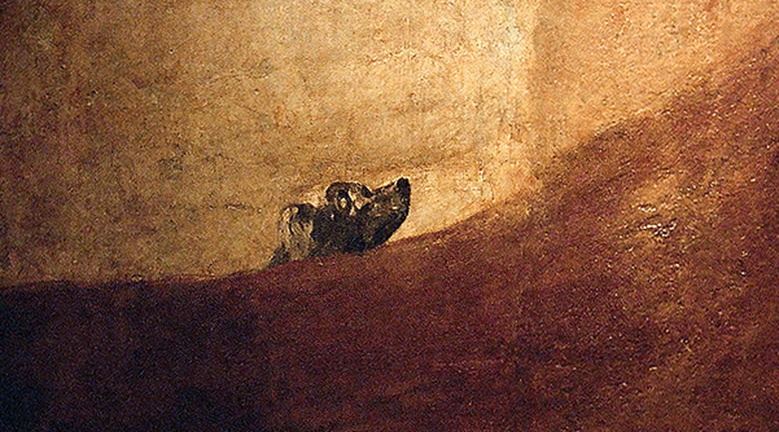 Detalle del 'Perro semihundido' de Goya