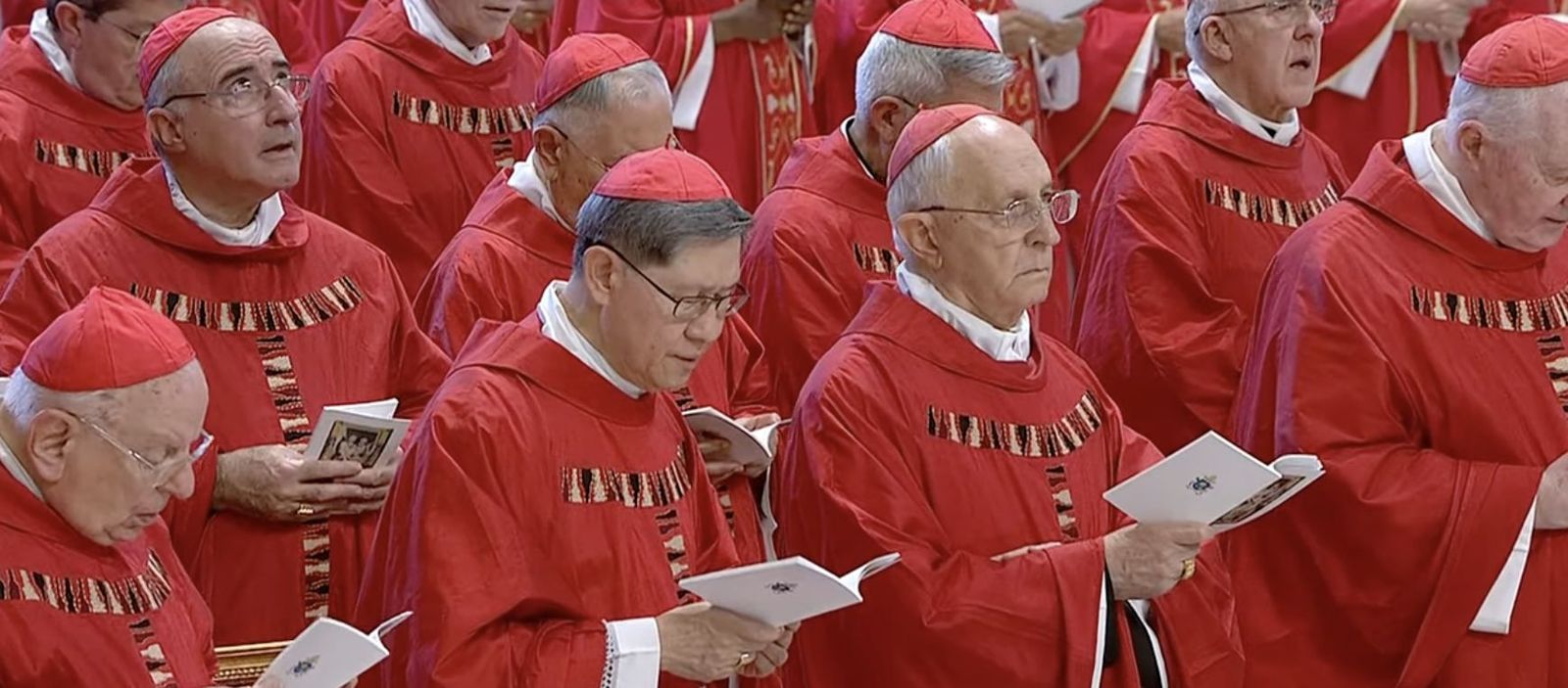 Cardenales en San Pedro