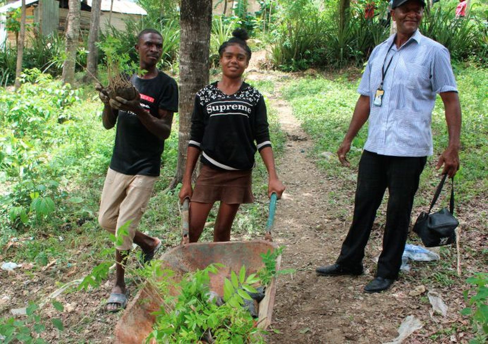 ornadas de reforestación en Haití impulsadas por Manos Unidas