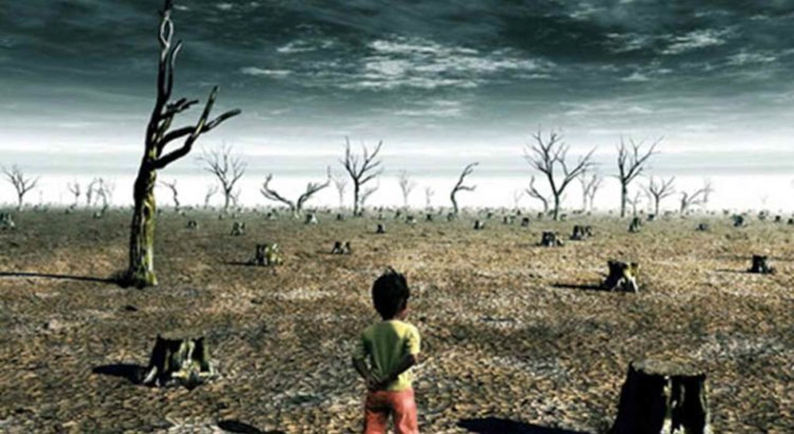 Refugiados Climáticos