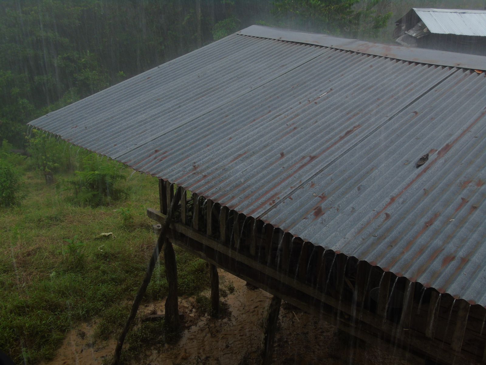 Caserío indígena bajo situación de confinamiento