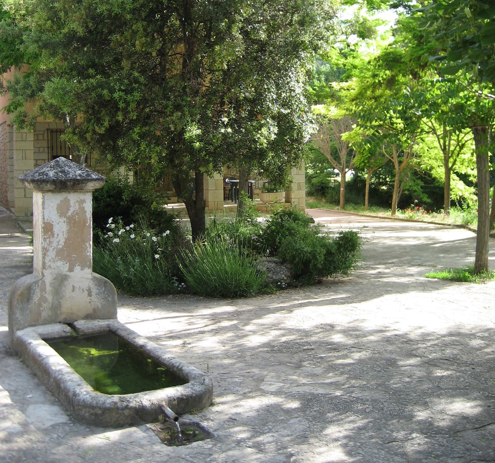 50 Años de los "Amigos de Buenafuente"