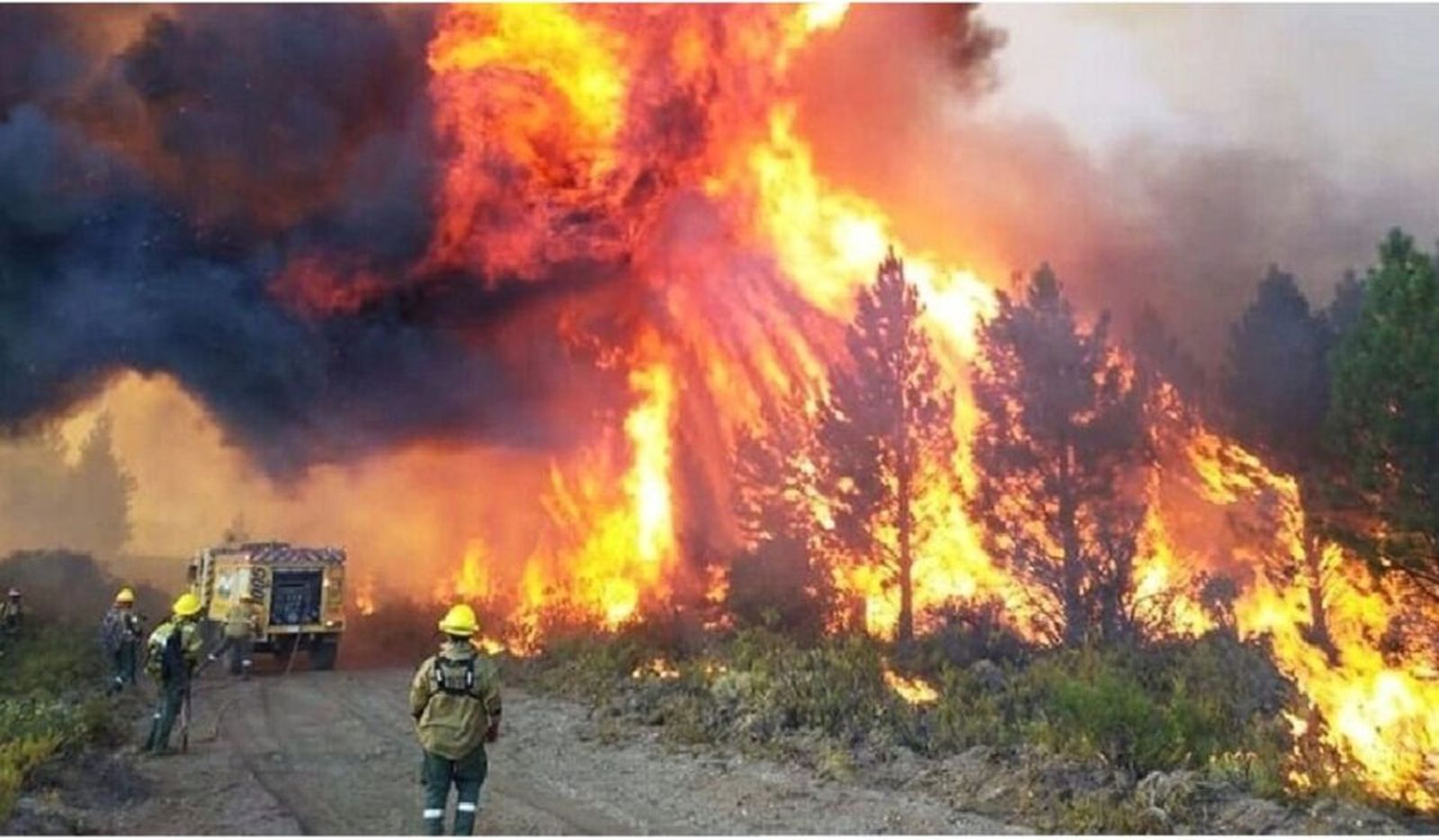 Incendios en la Patagonia