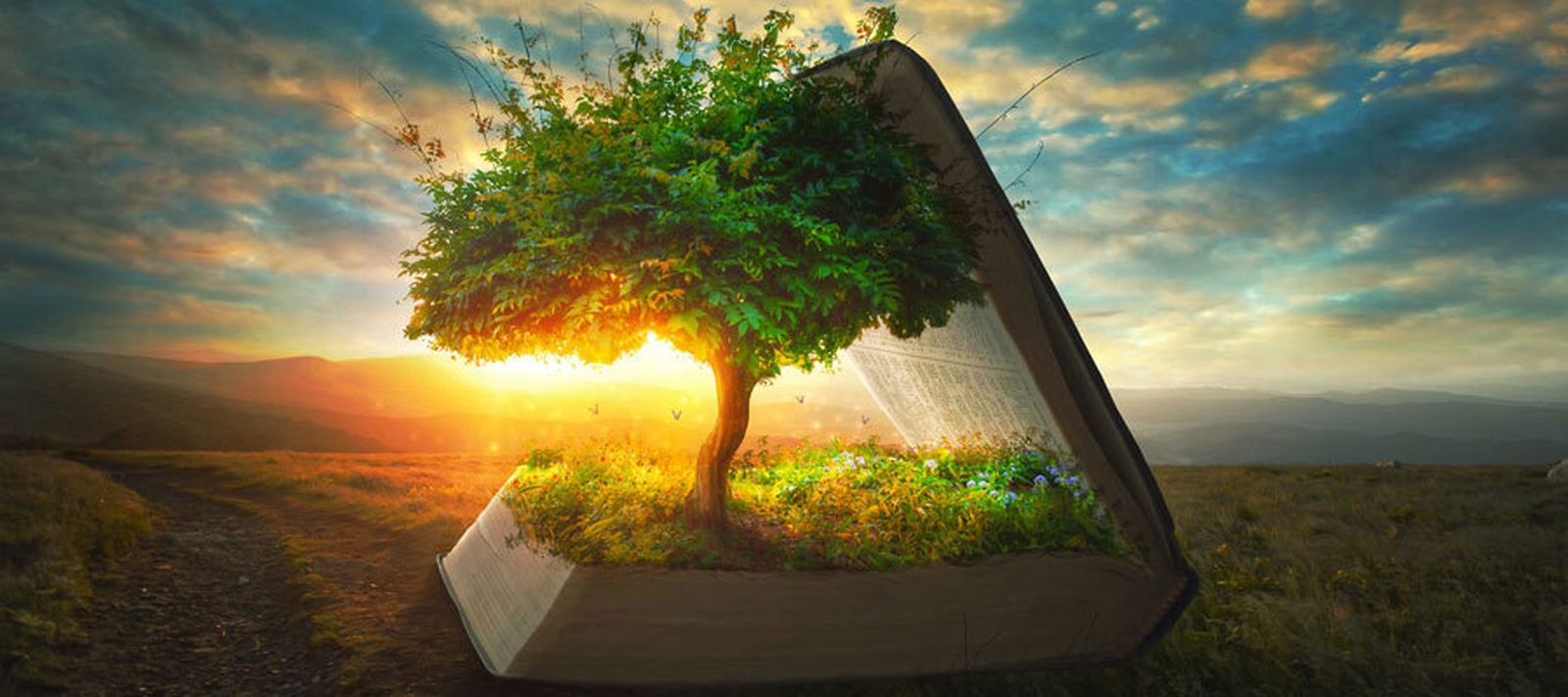 Un alegato a la vida