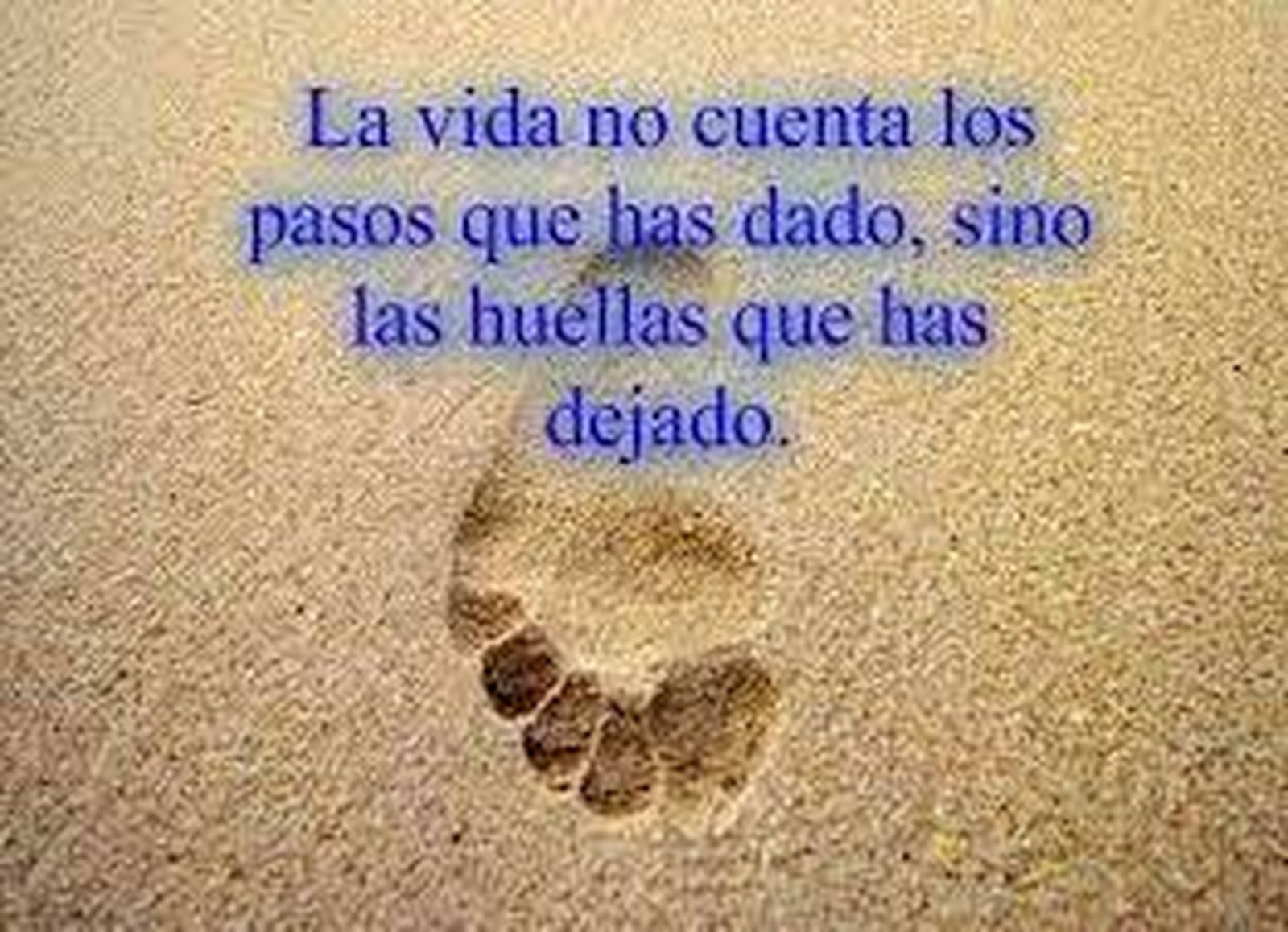 La vida siempre deja una estela