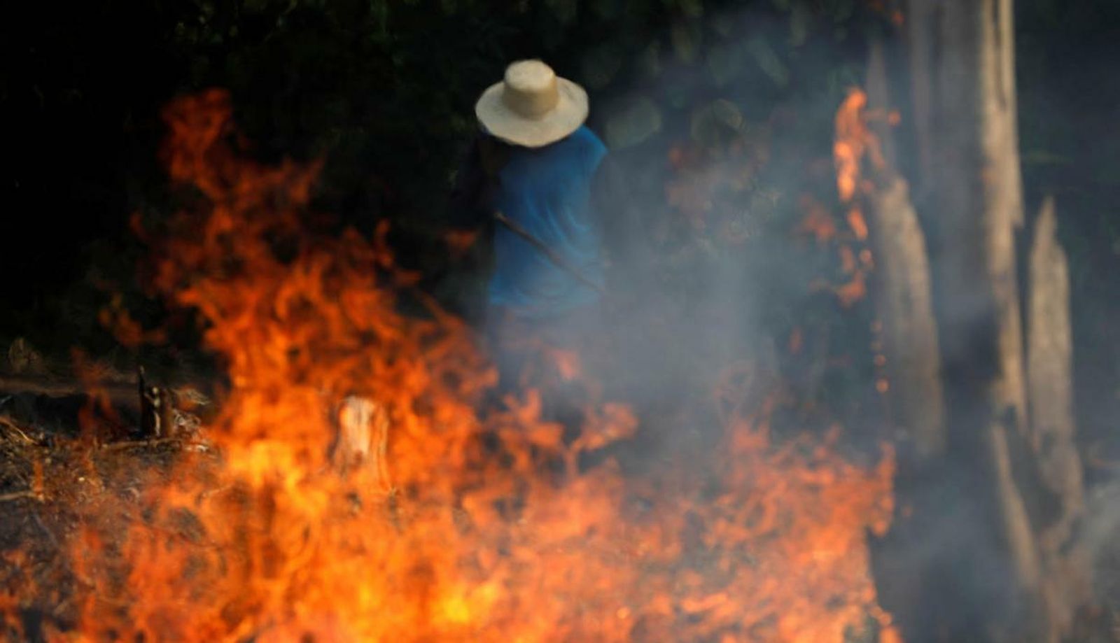 Desastrosos incendios en el Amazonas