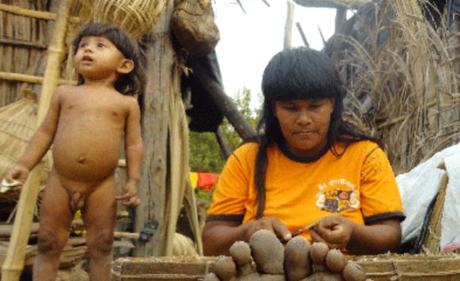 Araguaia, región amazónica en Brasil