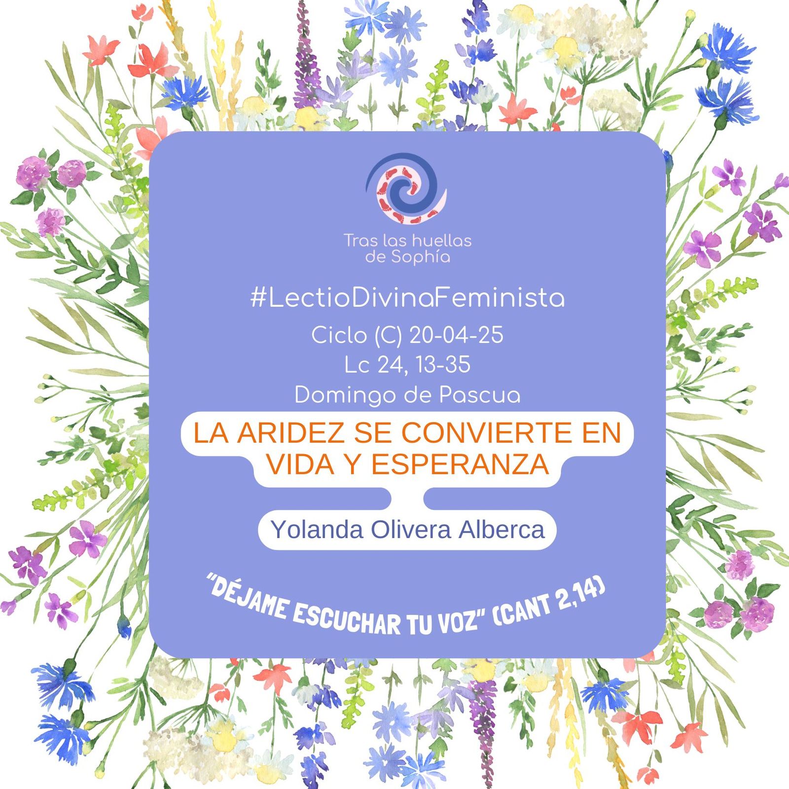 LA ARIDEZ SE CONVIERTE EN VIDA Y ESPERANZA