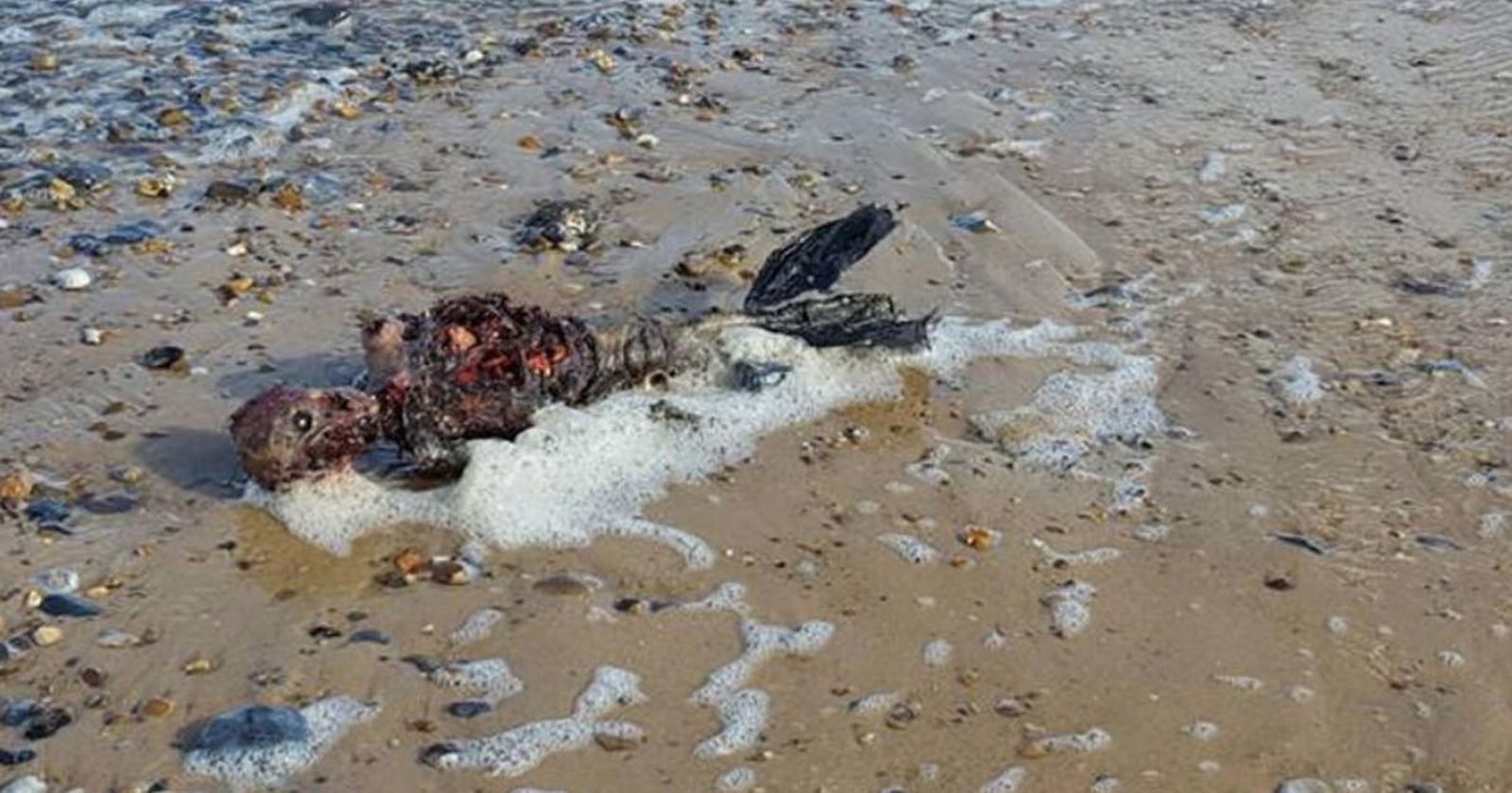 Emigrante muerto en el mar