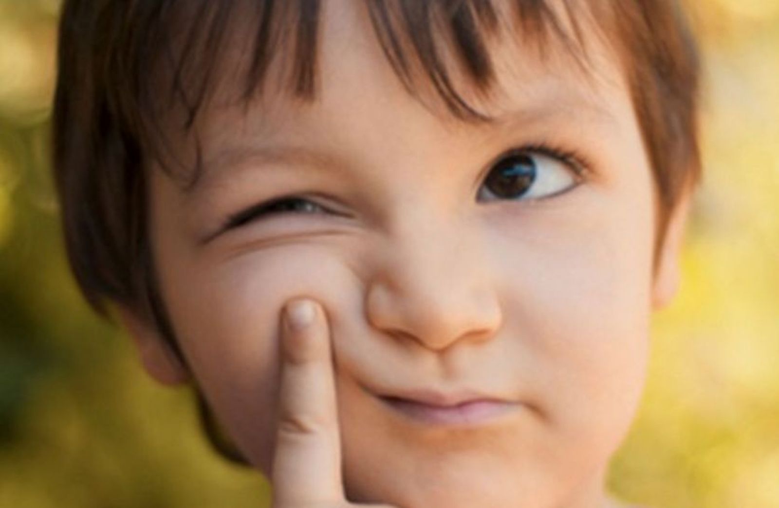 Fundación Edelvives. Educando en familia