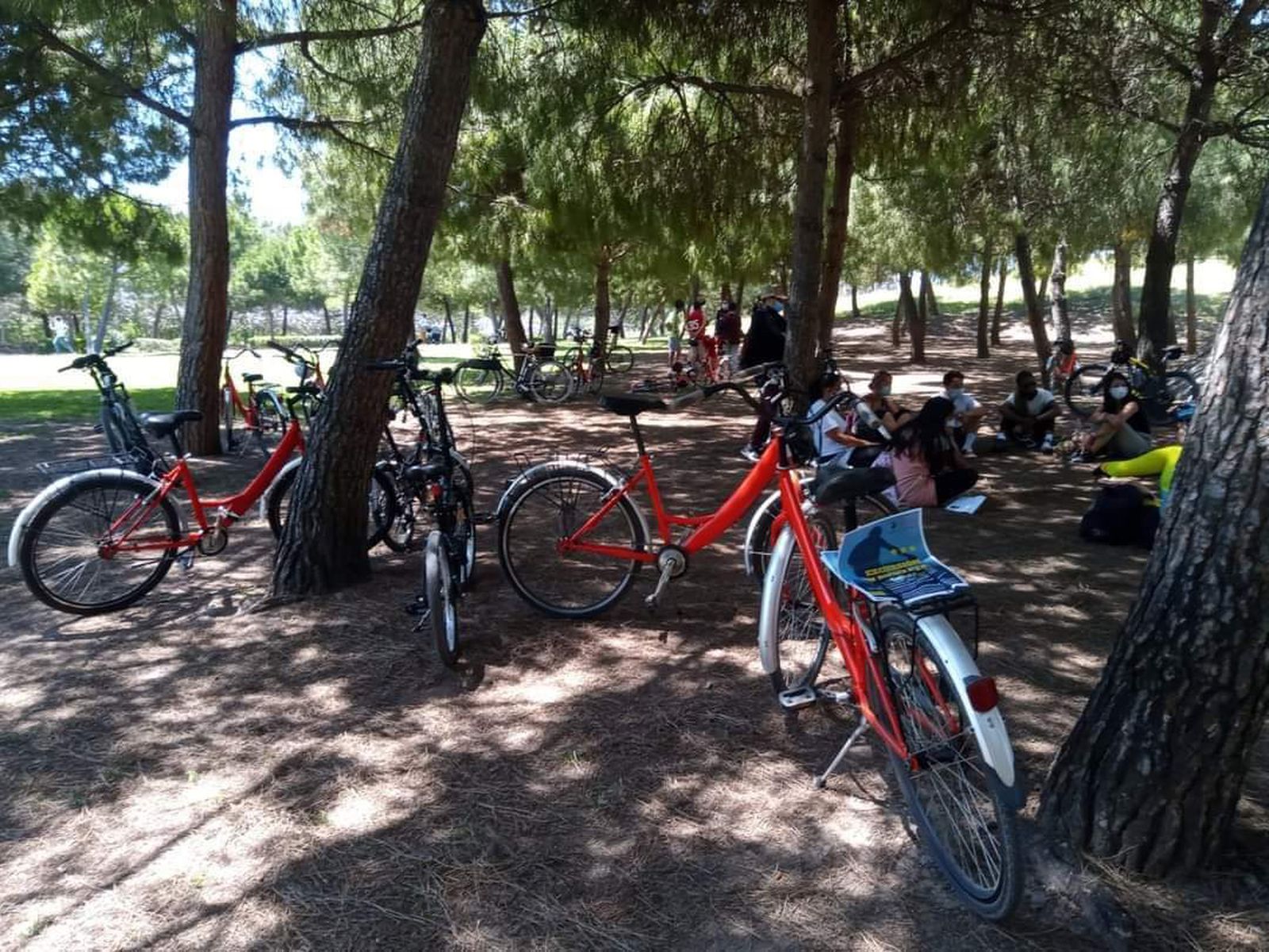 Bicicletas de Cáritas Valencia