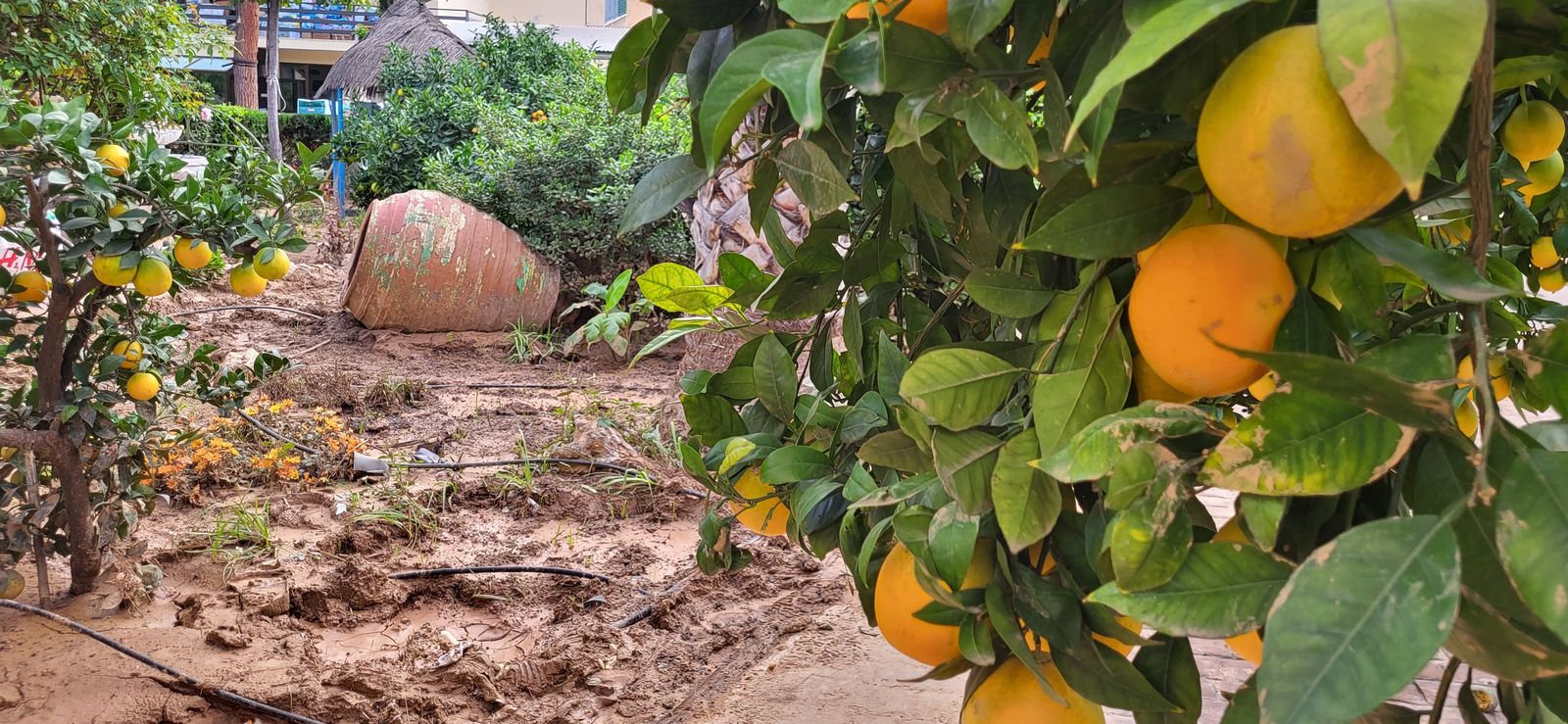 Cientos de imágenes sugerentes se quedan en la retina, algunas en los dispositivos móviles