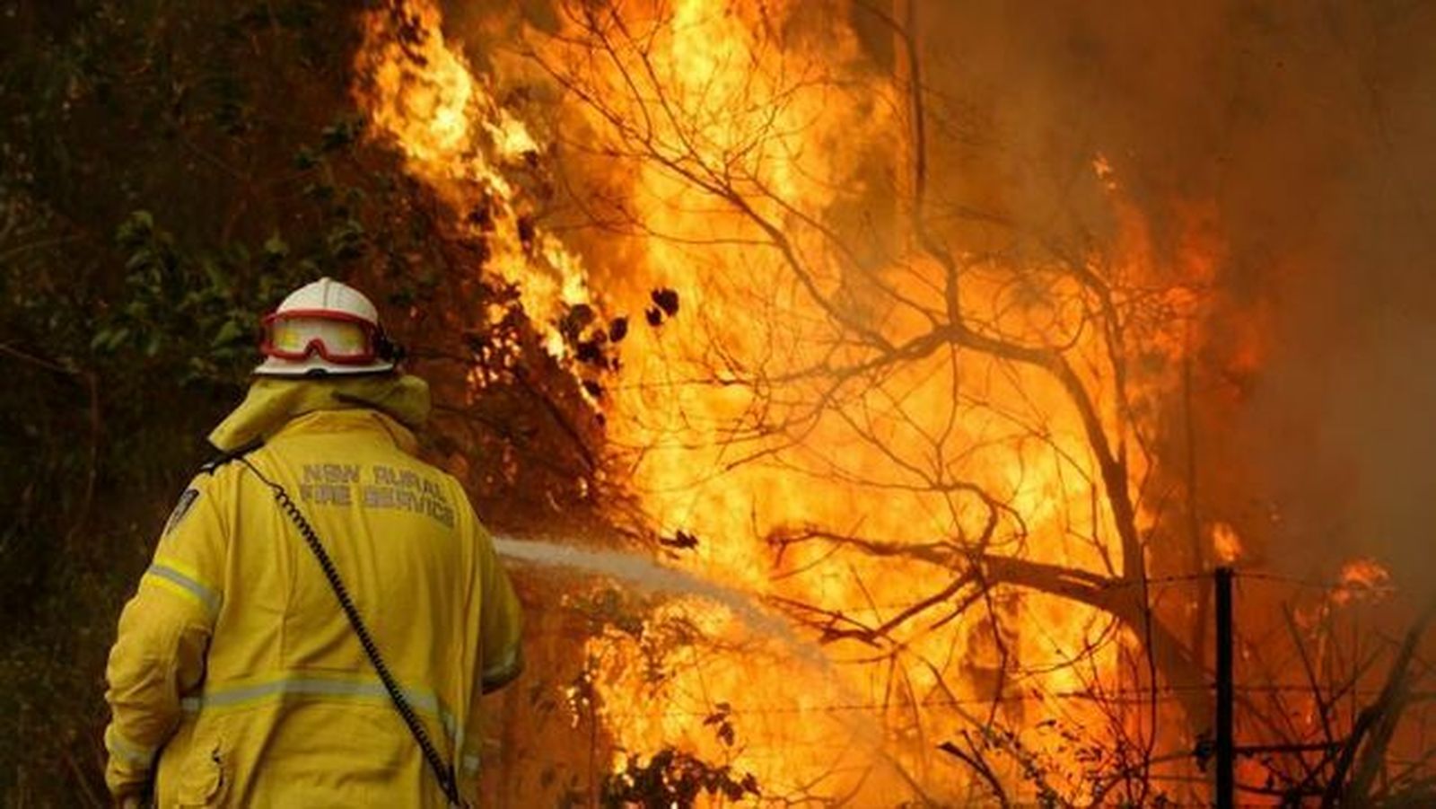 Incendios en Australia desde finales de 2019