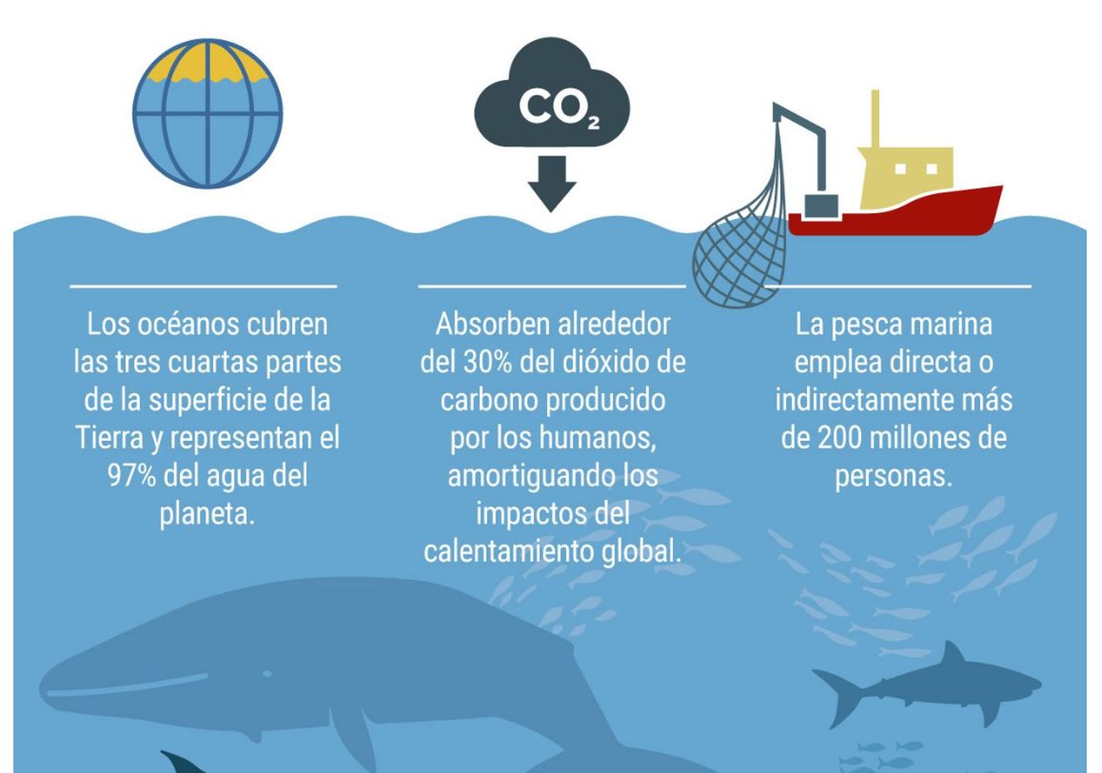El cuidado del océano, contra la contaminación