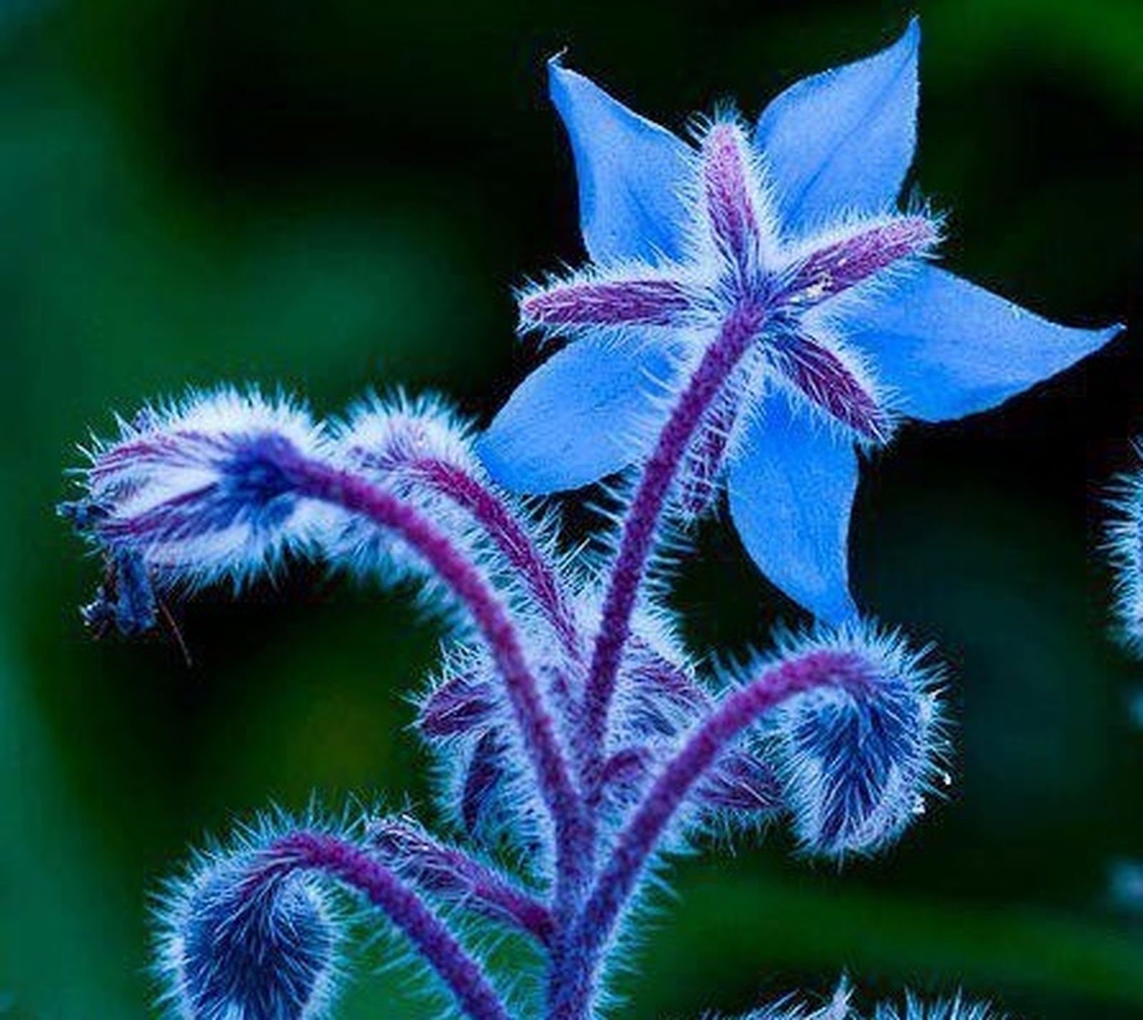 24 de Mayo: Mes de María