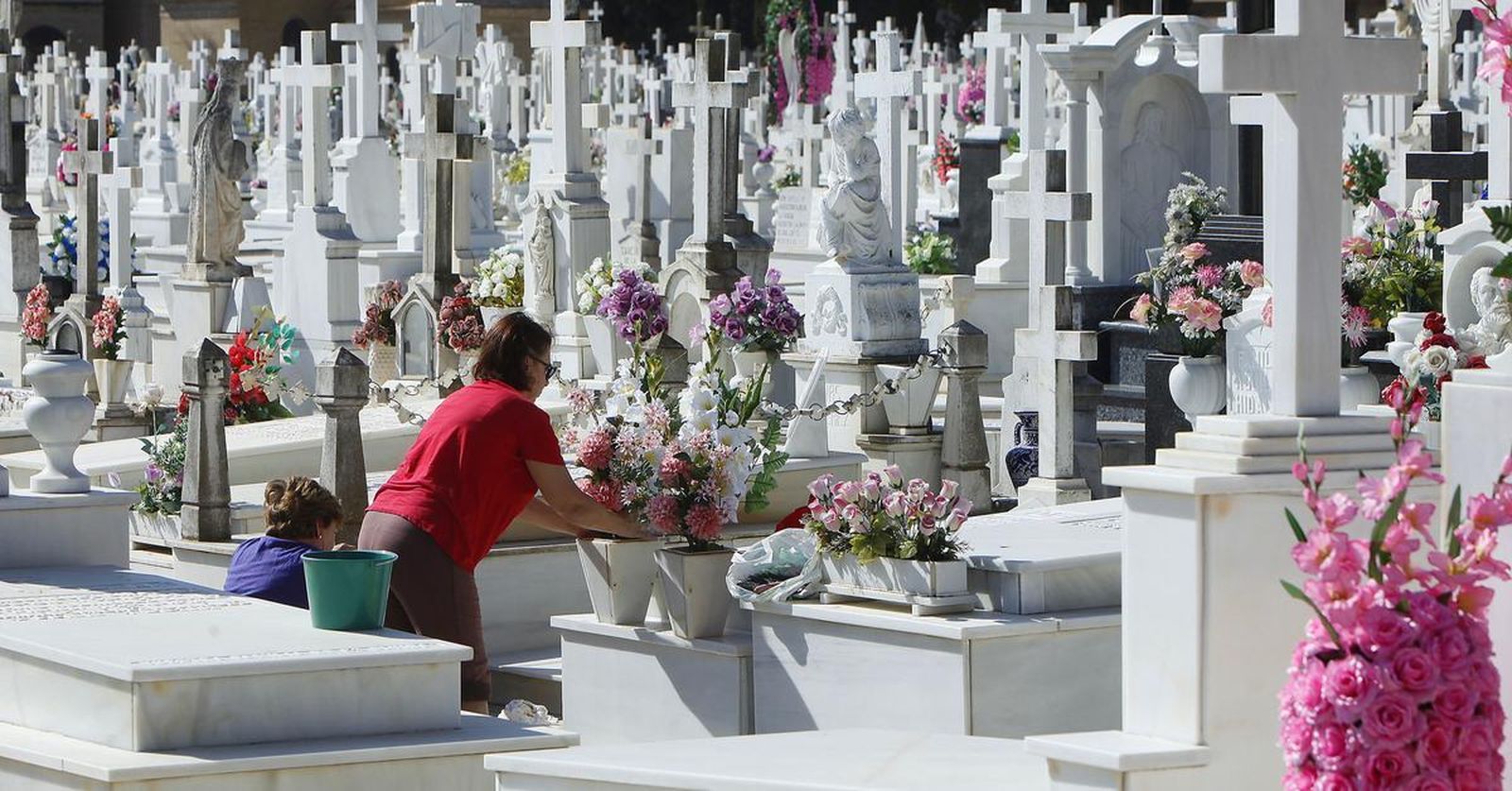 Fiesta de todos los Santos