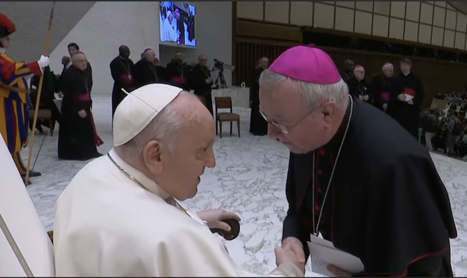 Taltavull saluda al Papa tras la audiencia