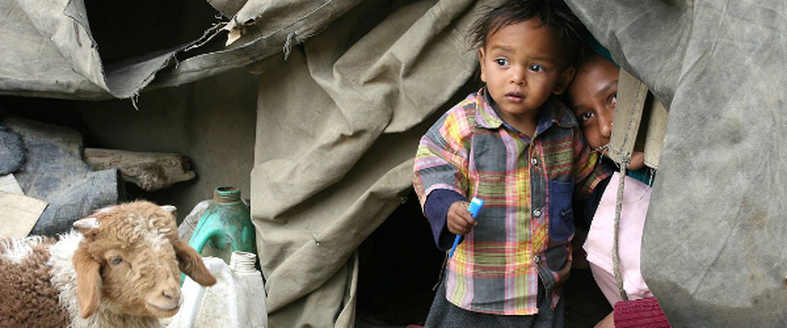 Una navidad con sabor de Amazonía