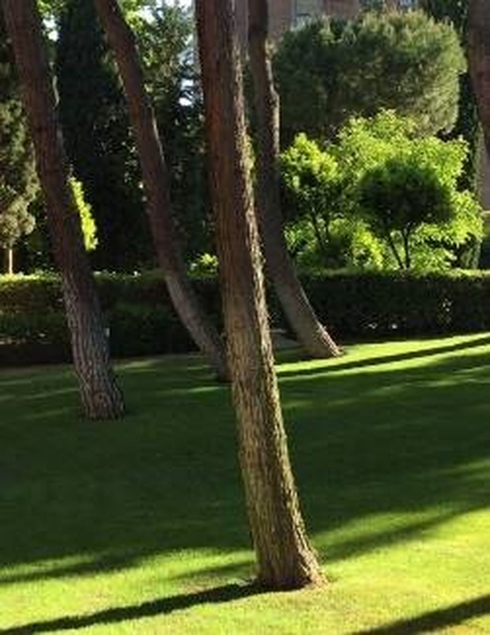 03 I Martes de Adviento