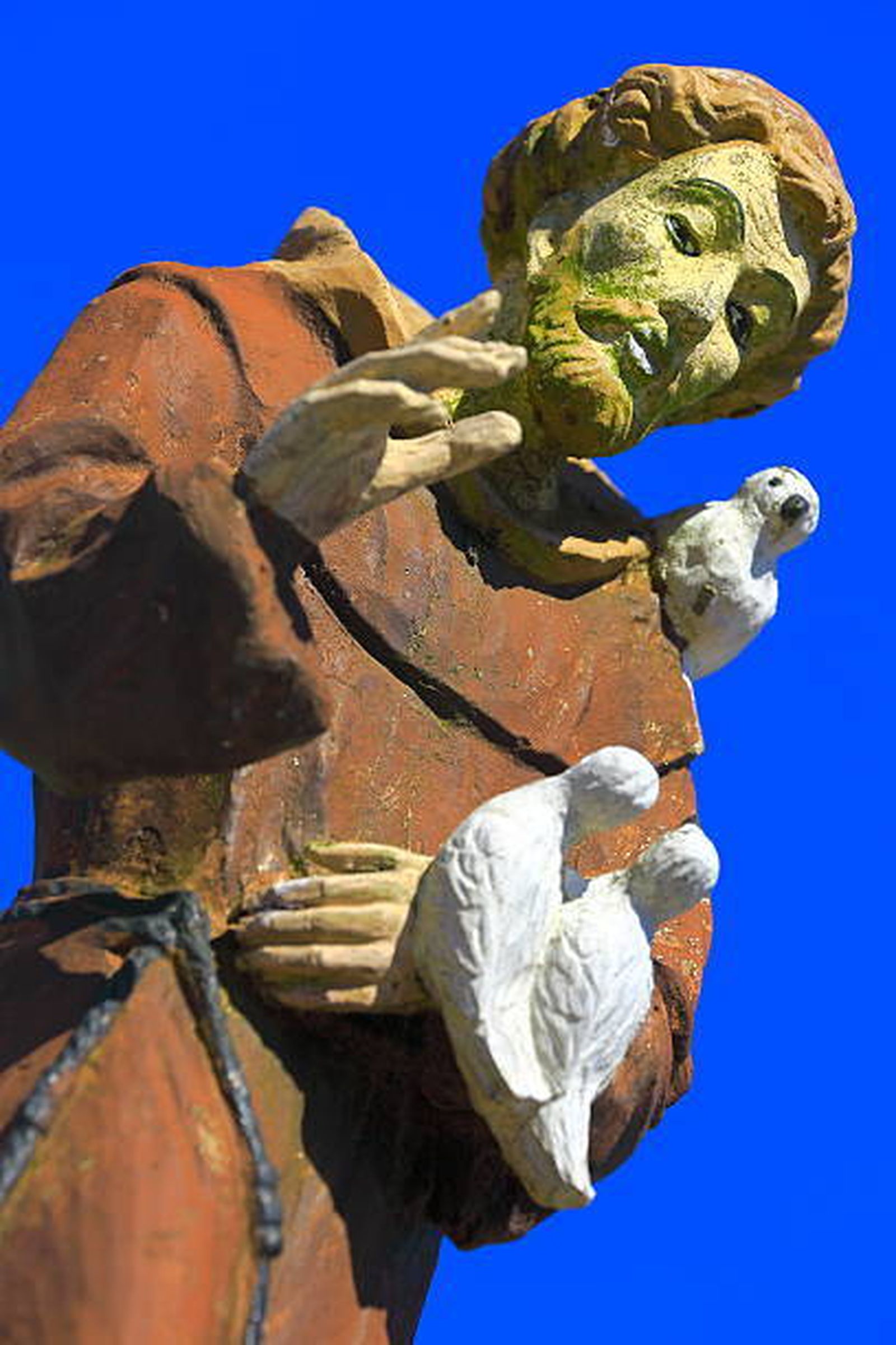 ❤️ Predica el evangelio en todo momento  y cuando sea necesario usa palabras.  San Francisco de Asís