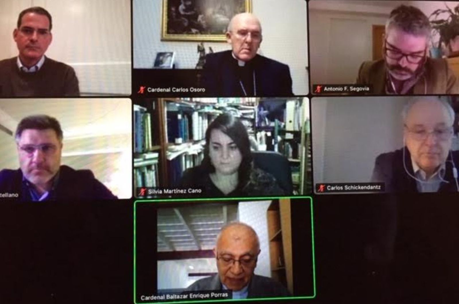 Los participantes en el seminario virtual