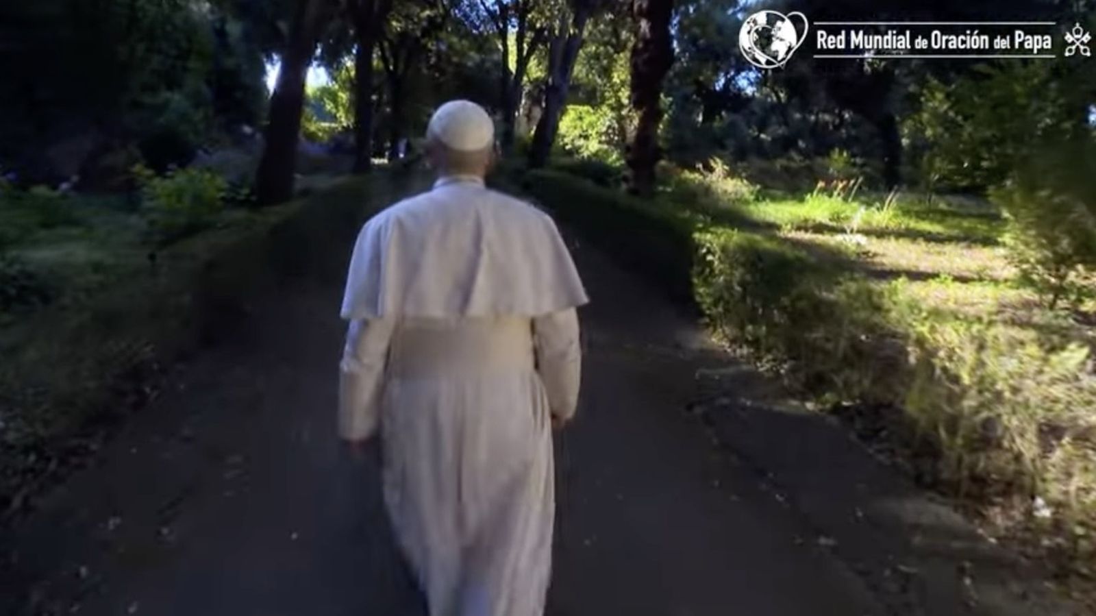 Vídeo de intención de oración del Papa para septiembre